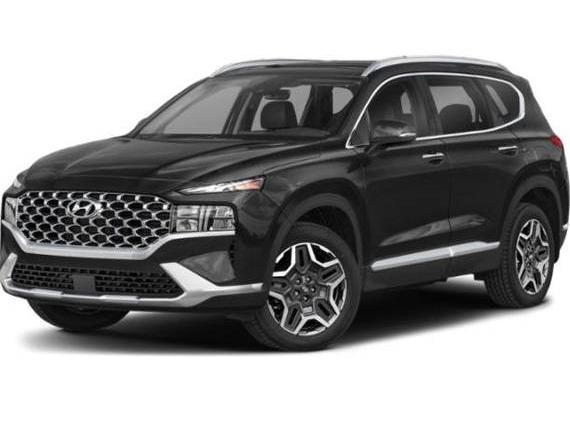 HYUNDAI SANTA FE 2023 5NMS3DA10PH013999 image